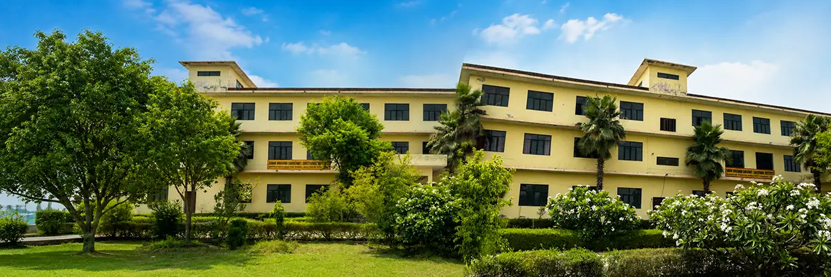 SWAMI DAYANAND SARASWATI EDUCATIONAL INSTITUTE